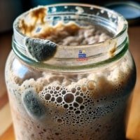 Can sourdough starter go bad Guide